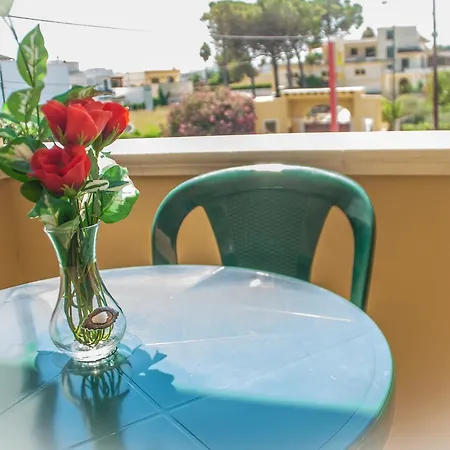 L'imperatore ساليس سالينتينو