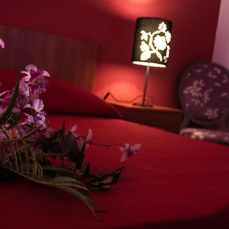 L'imperatore Oda ve Kahvaltı 3*